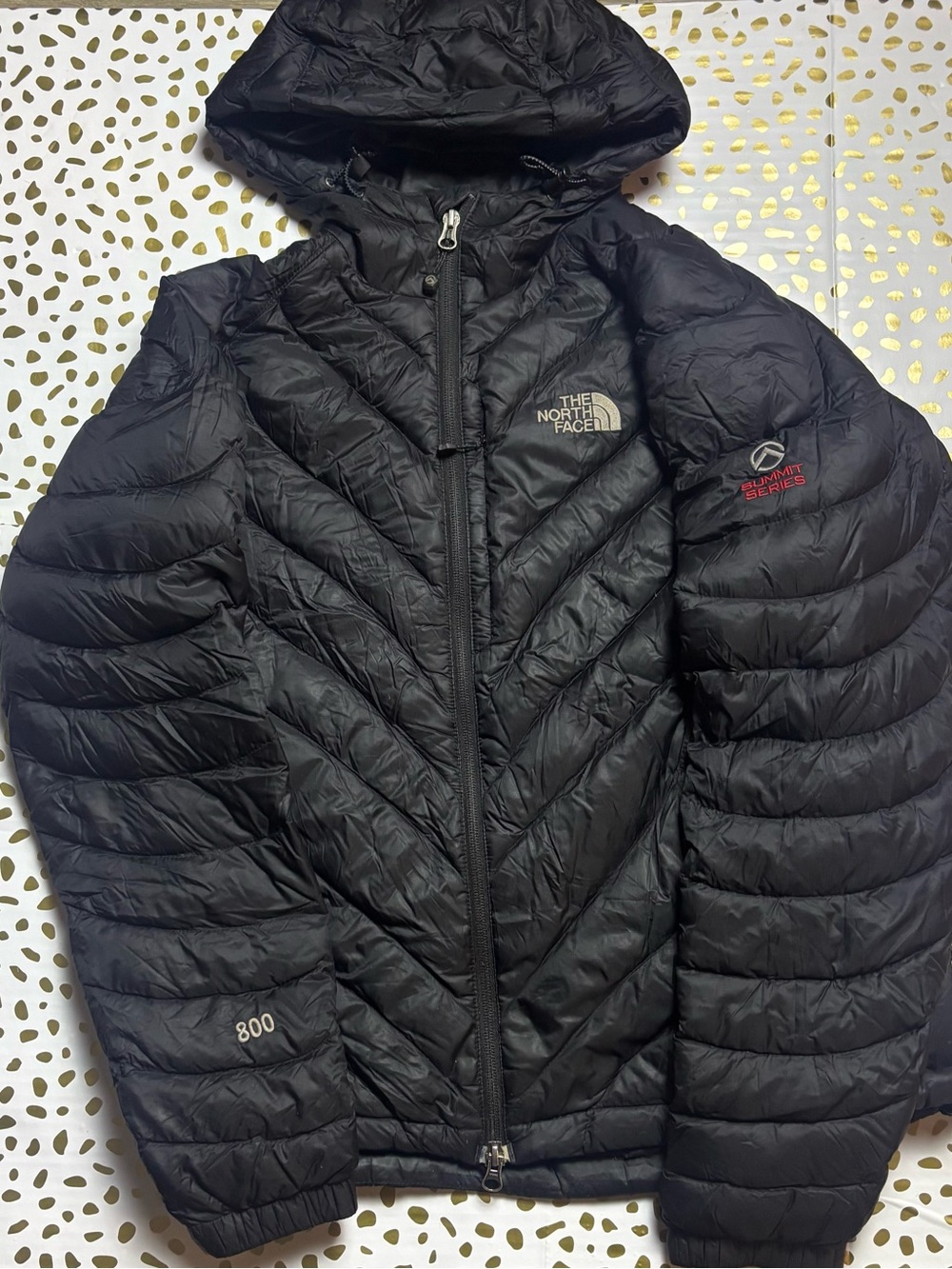 The North Face Black Summit Series 800 Down Puffer Jacket with Hood